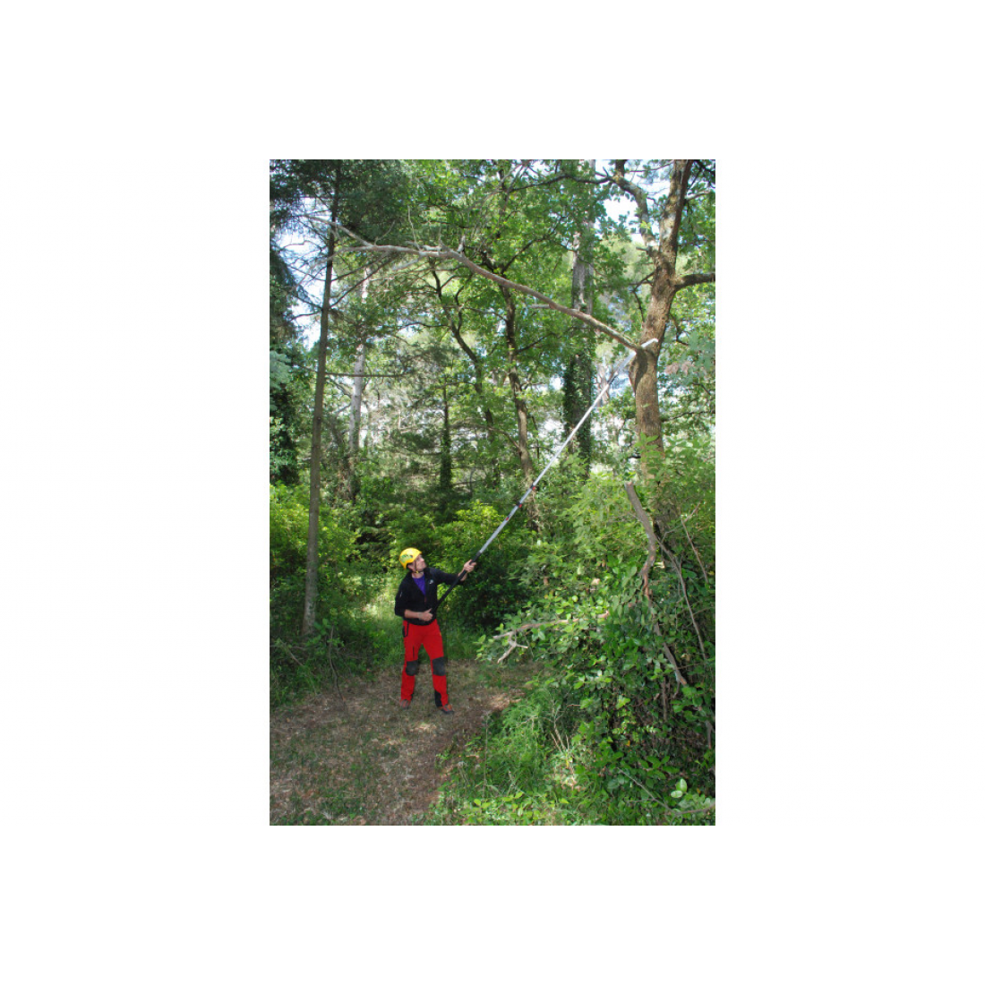 SILKY Stokzaag Hayauchi 240