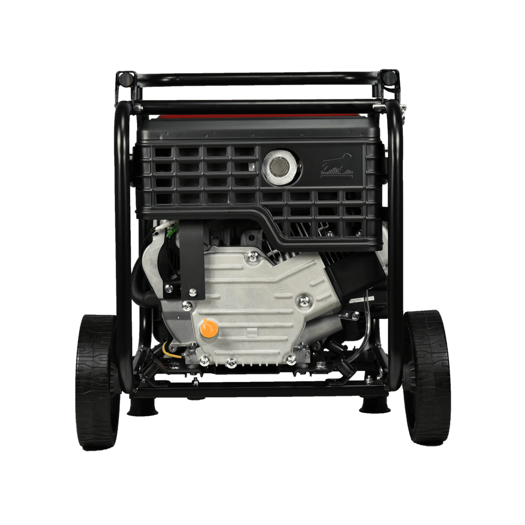 LC4800io Benzine Inverters