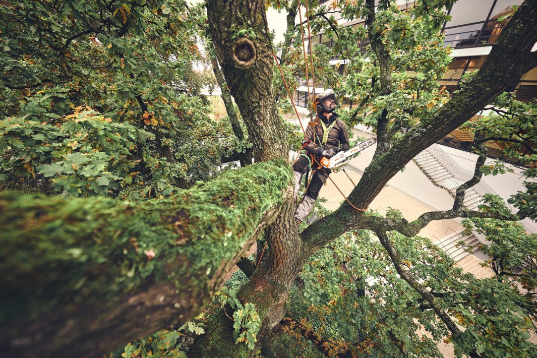 MSA 220 T - Accukettingzaag