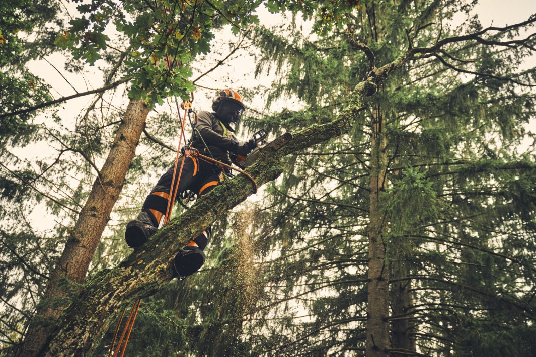 MSA 220 T - Accukettingzaag