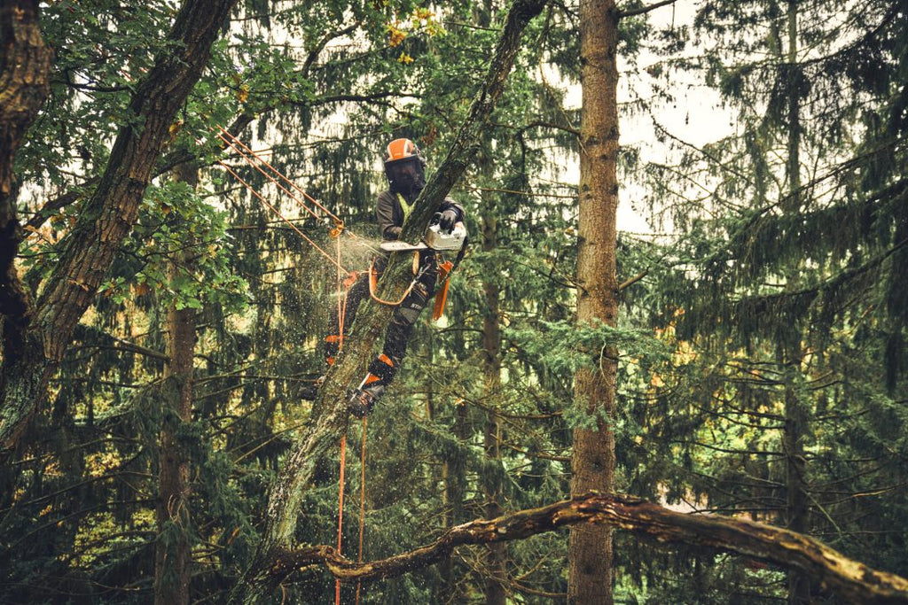 MSA 220 T - Accukettingzaag