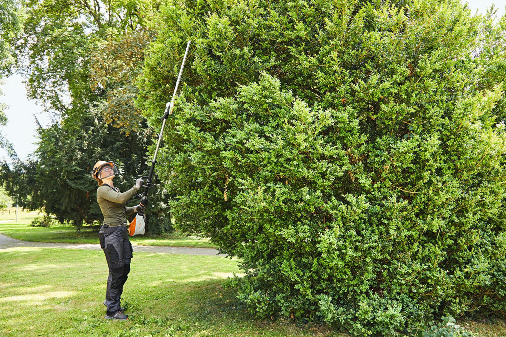 HLA 135 - Accuheggeschaar op steel