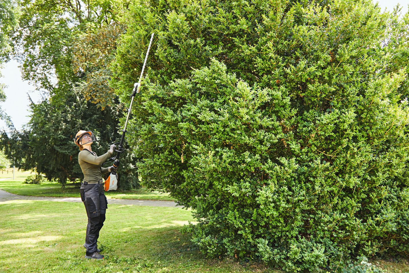 HLA 135 - Accuheggeschaar op steel