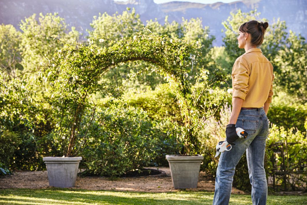 ASA 20 zonder accu en lader