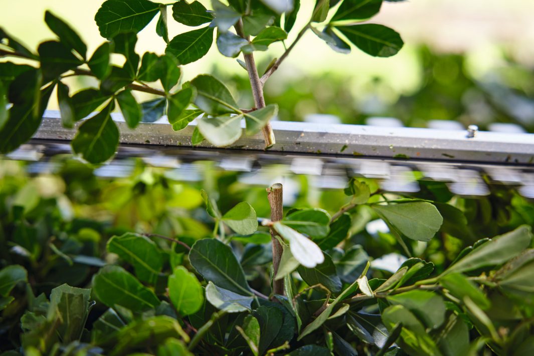 HSA 40 - Accuheggenschaar